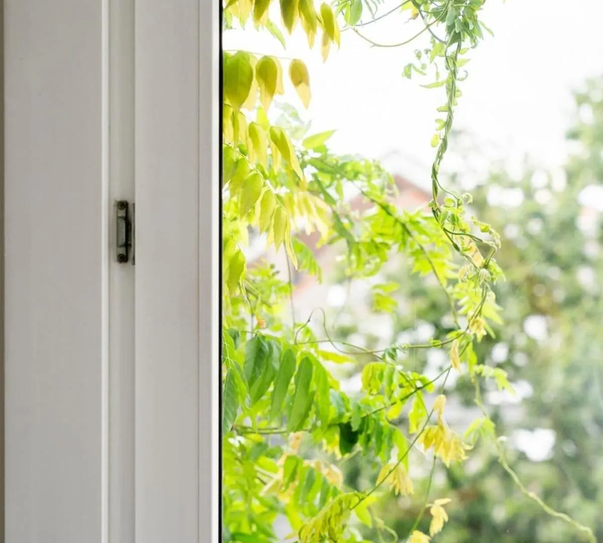 Cozy Central Antwerp Getaway For 3 Guests بلجيكا